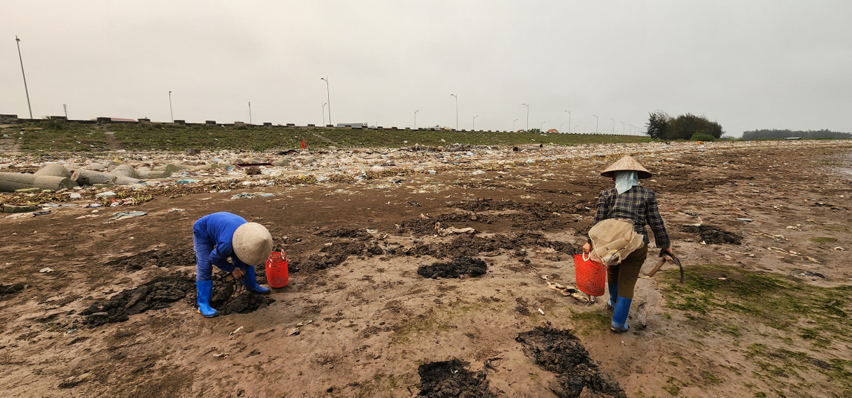 Là người kiếm sống trên vùng biển ven bờ, cả bà Nguyệt và bà Thu đều ngán ngẩm về việc rác thải ngập ngụa ven biển.