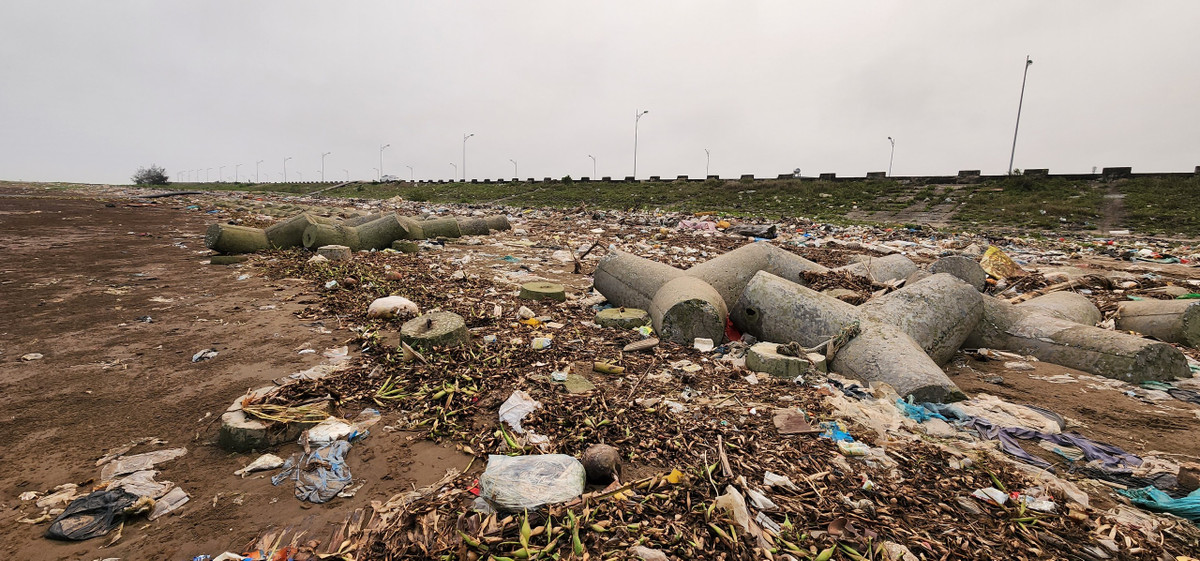 Lượng rác lớn từ biển đẩy vào và từ các hộ dân đổ ra khiến dọc tuyến ven biển huyện Nghĩa Hưng trở nên nhếch nhác, ô nhiễm. Nghề mót gion đã vất vả, giờ lại thêm nạn ô nhiễm môi trường khiến cho người làm nghề này càng thêm khốn khổ.