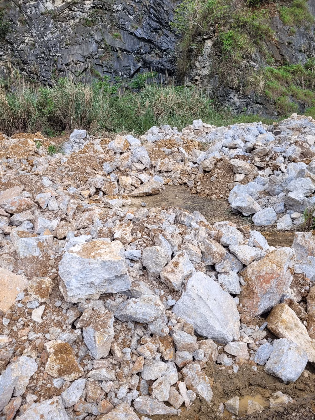 Dan yeu cau lam ro vi tri cap phep cho Cty Cong trinh 156 Ha Noi do thai-Hinh-2