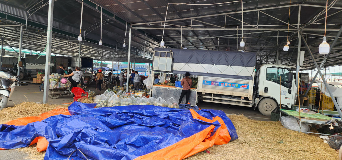 Hung Yen: Tinh yeu cau dung hoat dong, cho nong san Song Hong “bat tuan”-Hinh-3