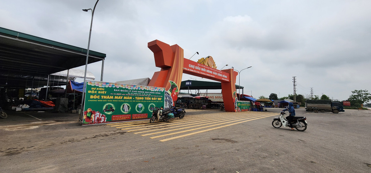 Hung Yen: Tinh yeu cau dung hoat dong, cho nong san Song Hong “bat tuan”