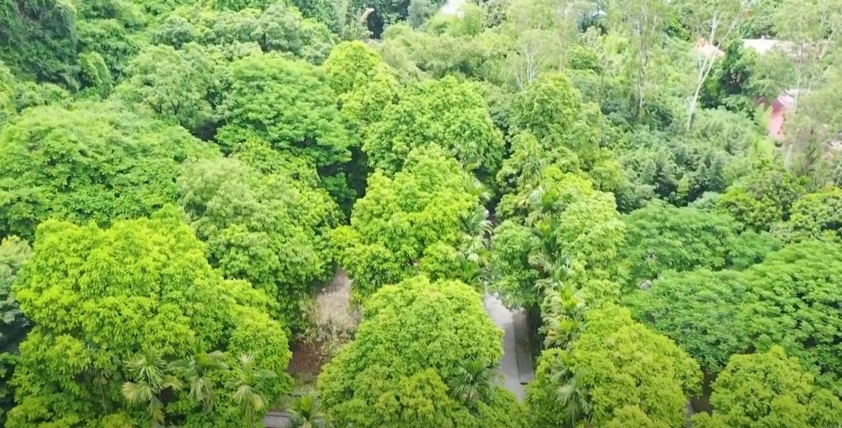 Den Truc - Ngu Dong Thi Son: Chon yen binh ben dong song Day