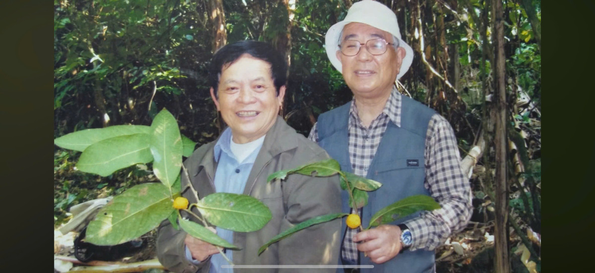 PGS Tran Ninh: Khai mo bi an ve reu, hoi sinh tra hoa vang-Hinh-5