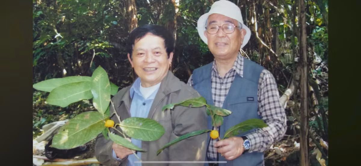 PGS Tran Ninh: Khai mo bi an ve reu, hoi sinh tra hoa vang-Hinh-5