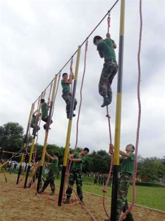 …và nhóm dây leo đứng.