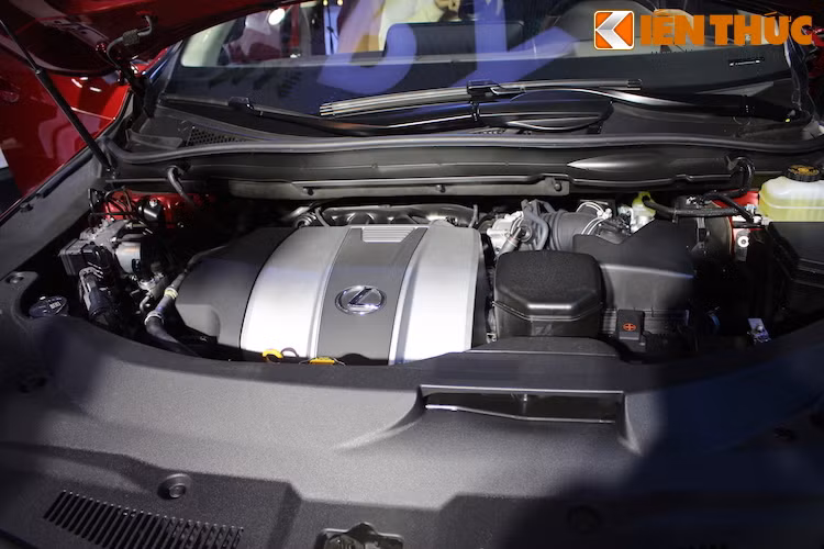 Tại Việt Nam, phiên bản cao cấp RX350 được trang bị động cơ V6 3.5l nạp khí tự nhiên với công suất tối đa 295 mã lực và mô-men xoắn cực đại 370 Nm.
