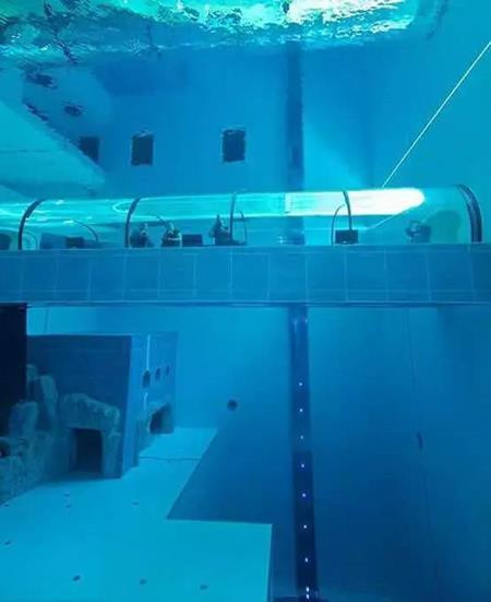 Đường hầm thú vị xuyên qua bể.