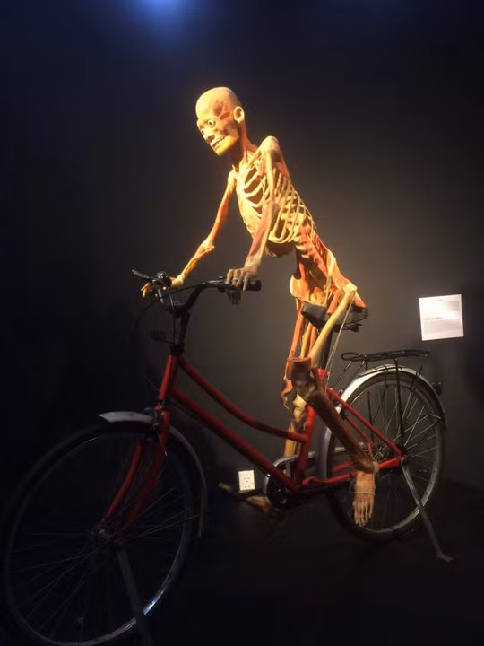 Gioi hoa si noi gi ve trien lam co the nguoi gay tranh cai