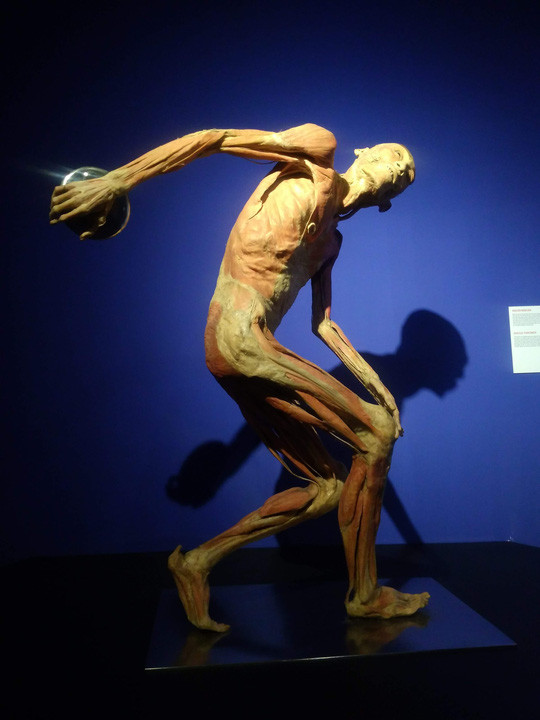 Gioi hoa si noi gi ve trien lam co the nguoi gay tranh cai-Hinh-2