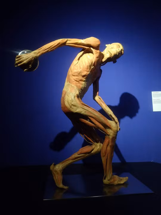 Gioi hoa si noi gi ve trien lam co the nguoi gay tranh cai-Hinh-2