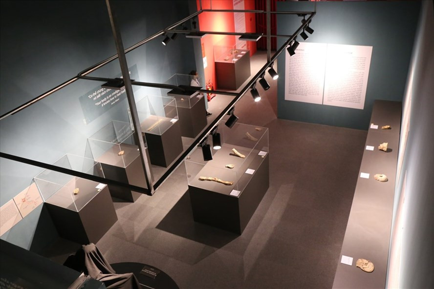 Một góc phòng triển lãm xác người nhựa hóa tại Nhà văn hóa Thanh Niên.