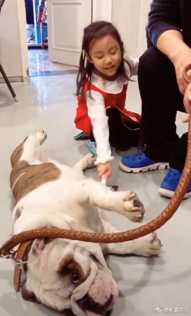 Điềm Hinh vui vẻ chơi đùa cùng chú cún nhỏ trong video.