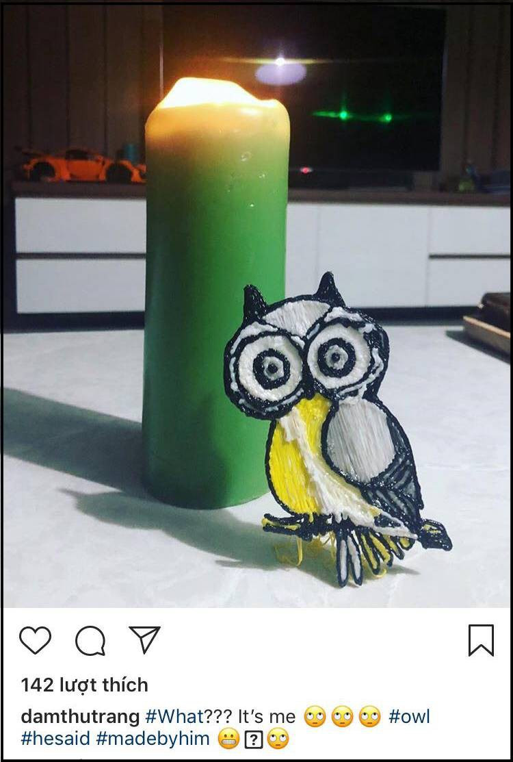 Trên trang cá nhân, mới đây, Đàm Thu Trang đã đăng tải hình ảnh một mô hình cú mèo do chính tay Cường Đô La làm tặng, kèm dòng chia sẻ đầy hài hước bằng tiếng Anh: "What? It’s me" (Tạm dịch: Gì cơ? Tôi đây?) và mau chóng thu hút sự chú ý từ đông đảo cư dân mạng.