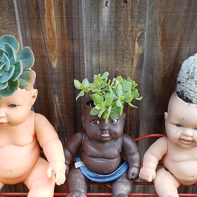 Khi trồng cây kiểu này, bạn hãy nhớ chừa lỗ thoát nước cho cây ở phía dưới.