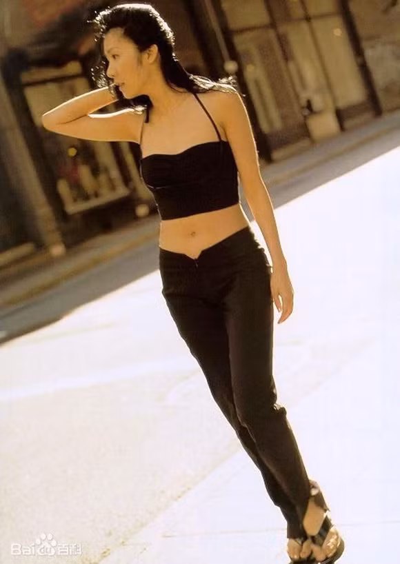  Bén duyên làng giải trí từ cuộc thi Hoa hậu: Từ Hoa Phượng sinh năm 1970 tại Đài Loan. Khi là sinh viên năm nhất, cô tham gia cuộc thi Hoa hậu Giai Nhạc Trung Quốc và giành vị trí thứ 4. Sau cuộc thi, người đẹp quyết định thôi học để theo đuổi giấc mơ nghệ thuật.