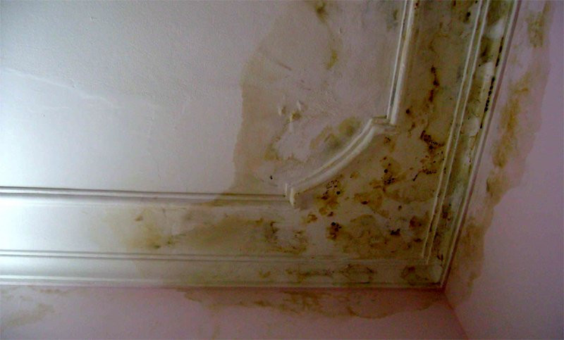 Co 2 ty van be tac: Cam xay nha moi, khong duoc o chung cu