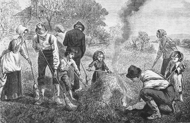 Bức tranh tái hiện cảnh người dân Kansas, Mỹ, đốt lửa để chống châu chấu. Ảnh: Kansas Historical Society