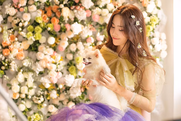 Được biết đến từ cuộc thi sắc đẹp, Hoa khôi Nam Em bất ngờ lấn sân ca hát. Không chỉ tạo ấn tượng khi tham gia Tình Bolero 2016, các sản phẩm âm nhạc của cô như: MV Tết sang, Giá như cha còn ở trên đời…cũng được khán giả đón nhận.