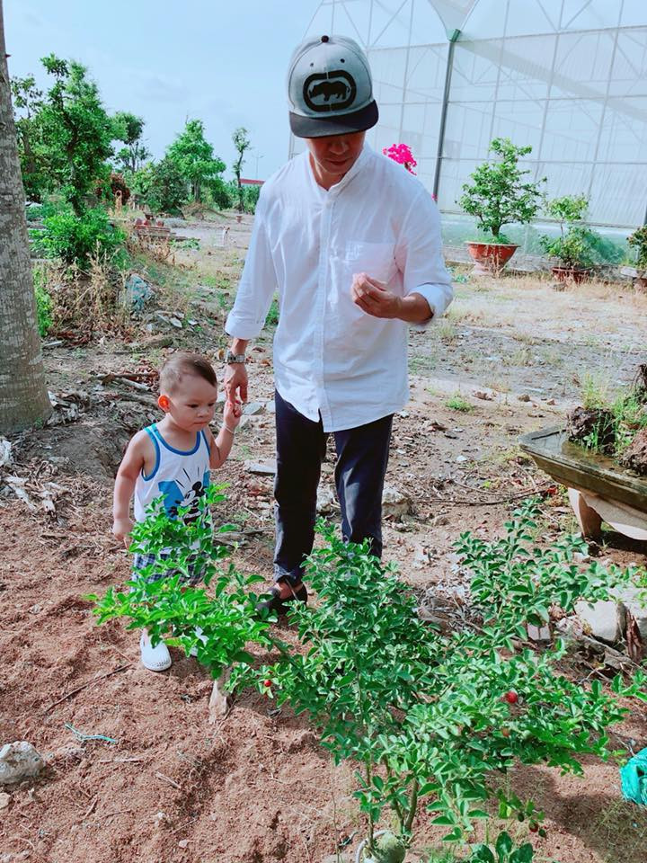 Lý Hải dẫn con trai út ra vườn, cậu bé thích thú chỉ trỏ các loại trái cây.
