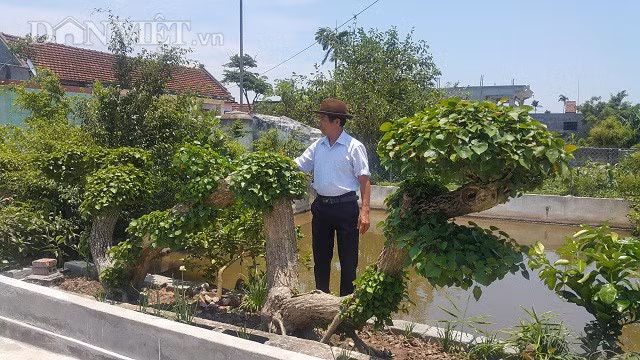 Ông Túy đặt tên cho tác phẩm này là “Cây na nước dáng long hồn Việt”, vì đây là cây thiên nhiên ban tặng lại có dáng long cực đẹp nên rất quý hiếm, cây sống trên đất Việt nên gọi là hồn Việt. Cây na nước có sức sống rất mãnh liệt tượng trưng cho sức sống mãnh liệt, trường tồn cùng trời đất.