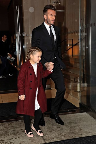 Harper đã mất vài tuần để nài nỉ cha mẹ mua cho cô bé một con ngựa riêng.