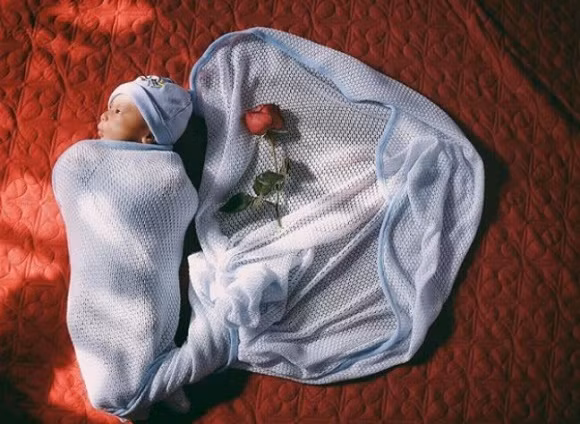 Cuối năm 2017, người mẫu Nguyễn Hợp tạm dừng công việc người mẫu để sinh con.