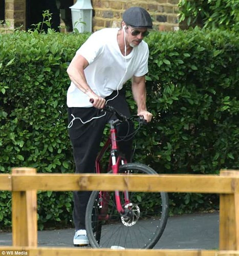 Đồng thời, phía tòa án yêu cầu Angelina Jolie cung cấp số điện thoại của từng đứa trẻ cho Brad Pitt để anh tiện nhắn tin, gọi điện hỏi thăm các con mà không có sự giám sát của vợ cũ.