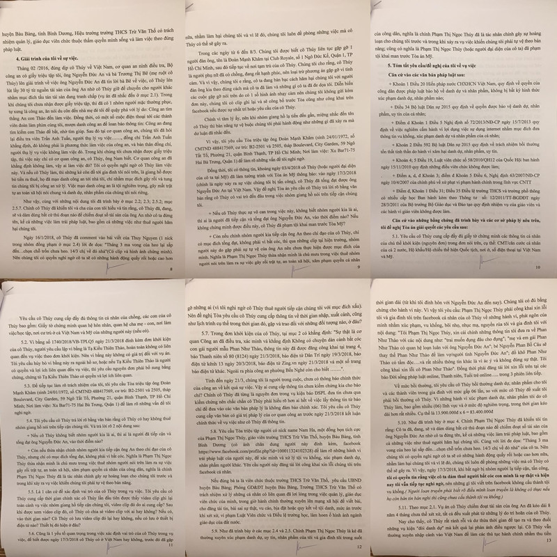 Bi report don phan to Ngoc Thuy, Phan Nhu Thao buc xuc-Hinh-7