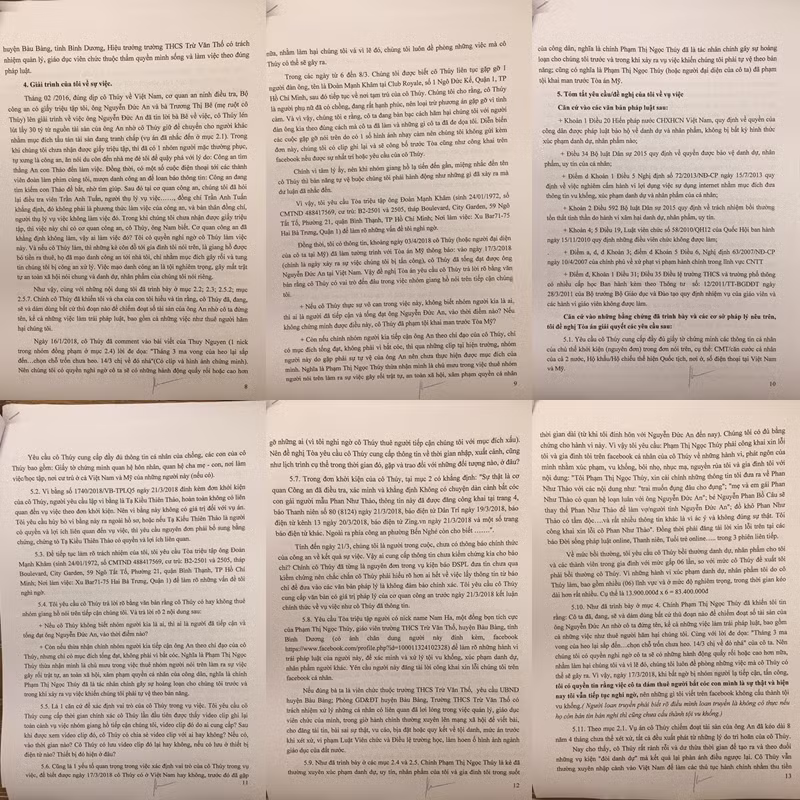 Bi report don phan to Ngoc Thuy, Phan Nhu Thao buc xuc-Hinh-7