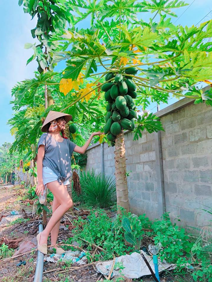 Bà mẹ 4 con trẻ nhất showbiz Việt cũng không quên tạo dáng bên cây đu đu trĩu quả.