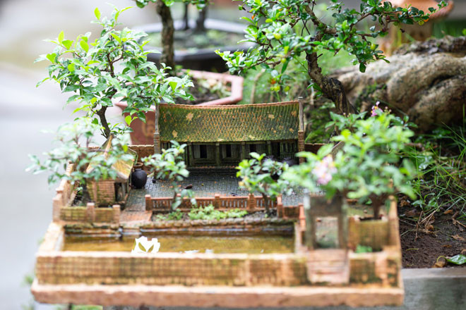 Ky la can nha 3 gian chua day 1m2, lop bang 11.000 vien ngoi-Hinh-7