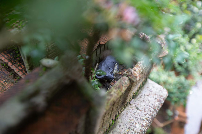 Ky la can nha 3 gian chua day 1m2, lop bang 11.000 vien ngoi-Hinh-4