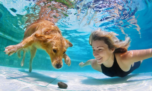 Các nhà khoa học hi vọng trong tương lai con người có thể sống dưới nước.