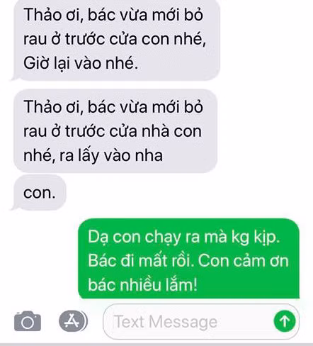 Đoạn tin nhắn hé lộ mối quan hệ của ca sĩ Thanh Thảo và mẹ chồng tương lai.