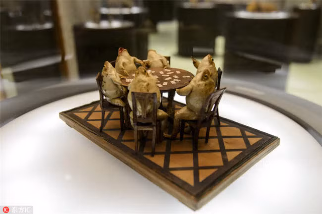 5. Bảo tàng ếch Tại bảo tàng ếch ở Estavayer-le-Lac, Thụy Sĩ, du khách có thể chứng kiến những cảnh ấn tượng như các con ếch chơi domino quanh bàn. Bảo tàng là ý tưởng của Francois Perrier, một cựu thành viên của lực lượng Cận vệ Đế chế vào thế kỷ 19.