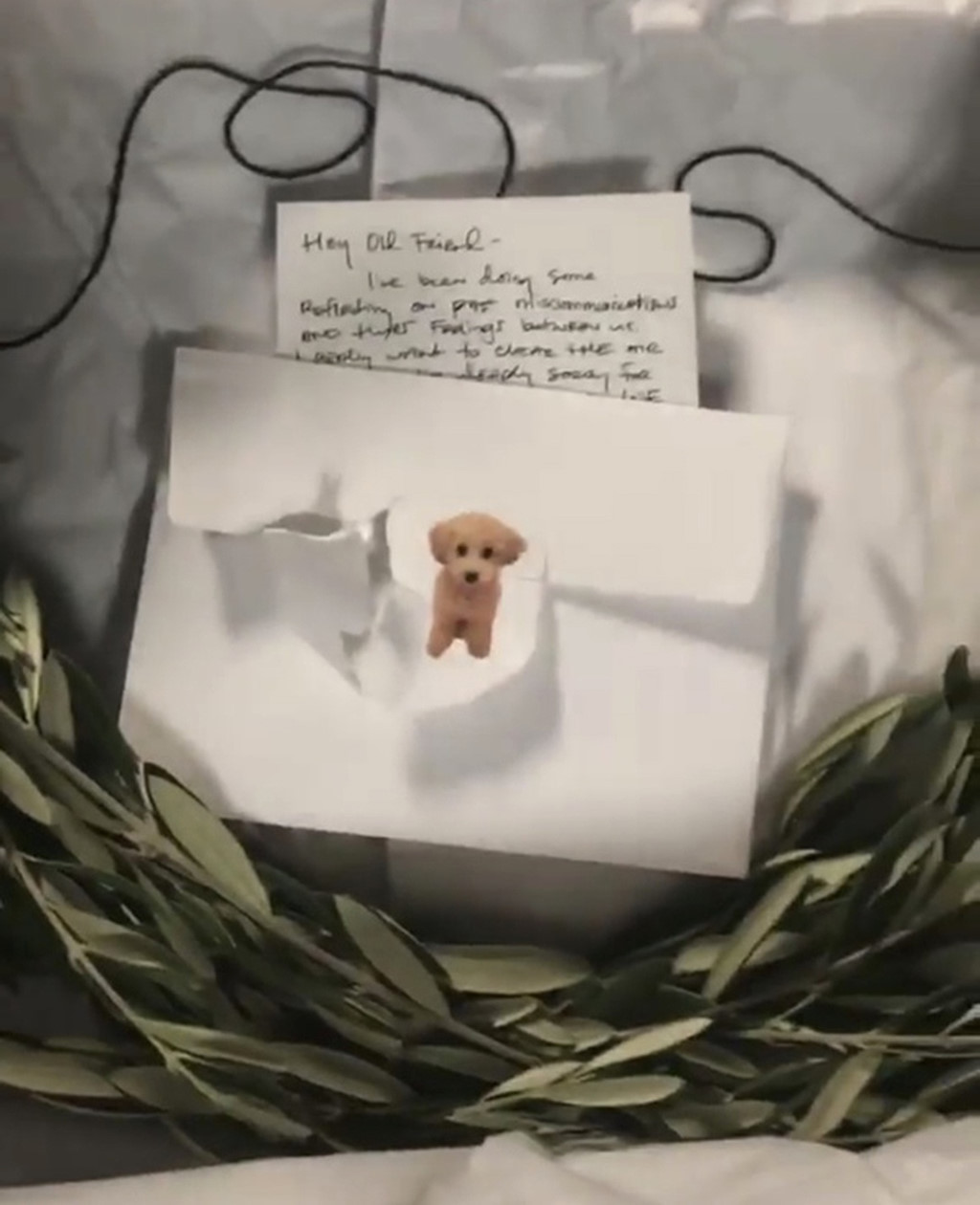 Gần đây, Katy Perry gửi tặng Taylor Swift cành hoa ô liu tượng trưng cho sự hoà bình cùng lá thư viết tay thân thiện. Việc làm của ca sĩ Swish Swish là mong muốn hoà giải và kết thúc ''chiến tranh'' giữa cô và Swift. Tuy nhiên, ít ai biết rằng họ từng là bạn thân của nhau.