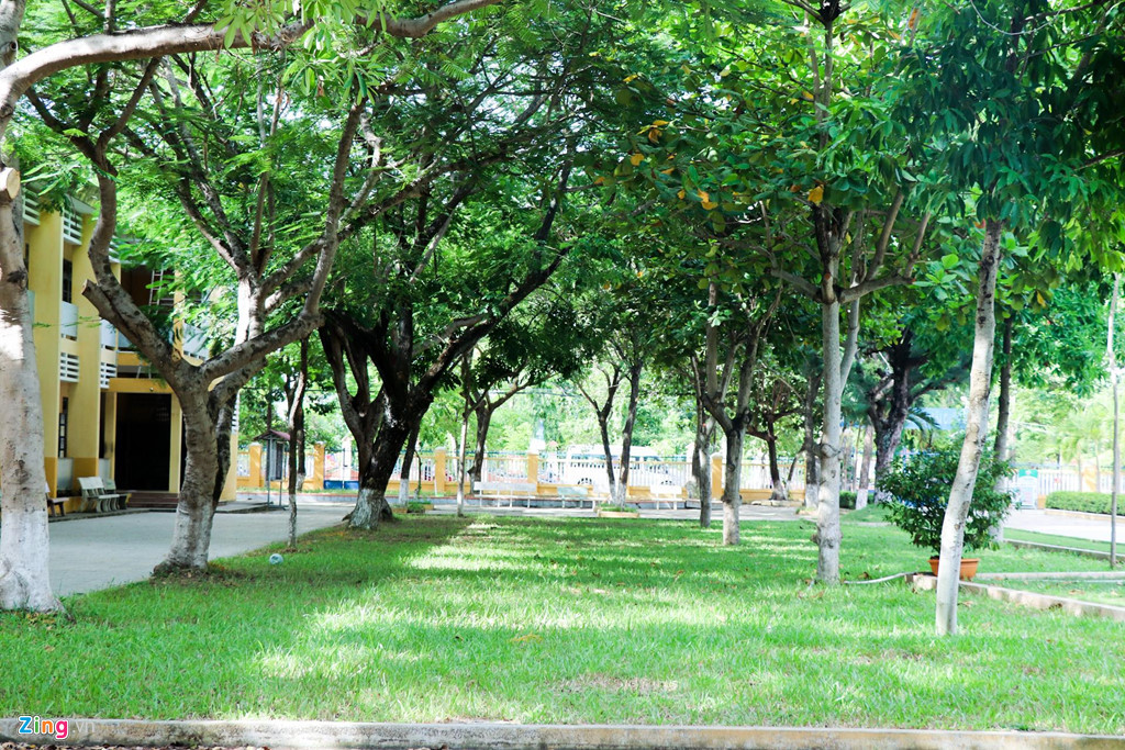 "Một lần nữa thầy chúc em khi đã trở thành hoa hậu thì phải tự tin, cố gắng, nỗ lực hoàn thiện bản thân hơn. Em còn rất trẻ, con đường phía trước còn rất dài, mong em tiếp tục học tập tốt và làm những công việc ý nghĩa để xứng đáng với danh hiệu Hoa hậu Việt Nam", thầy chủ nhiệm Nguyễn Công Thanh gửi gắm.