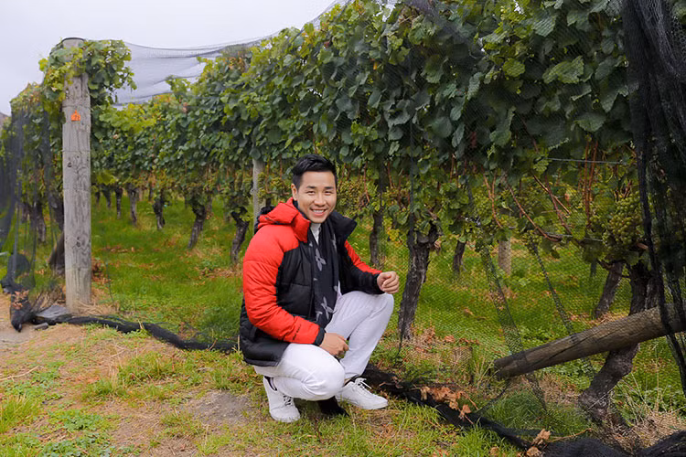Chàng MC điển trai tới thăm vườn trồng nho làm rượu vang.