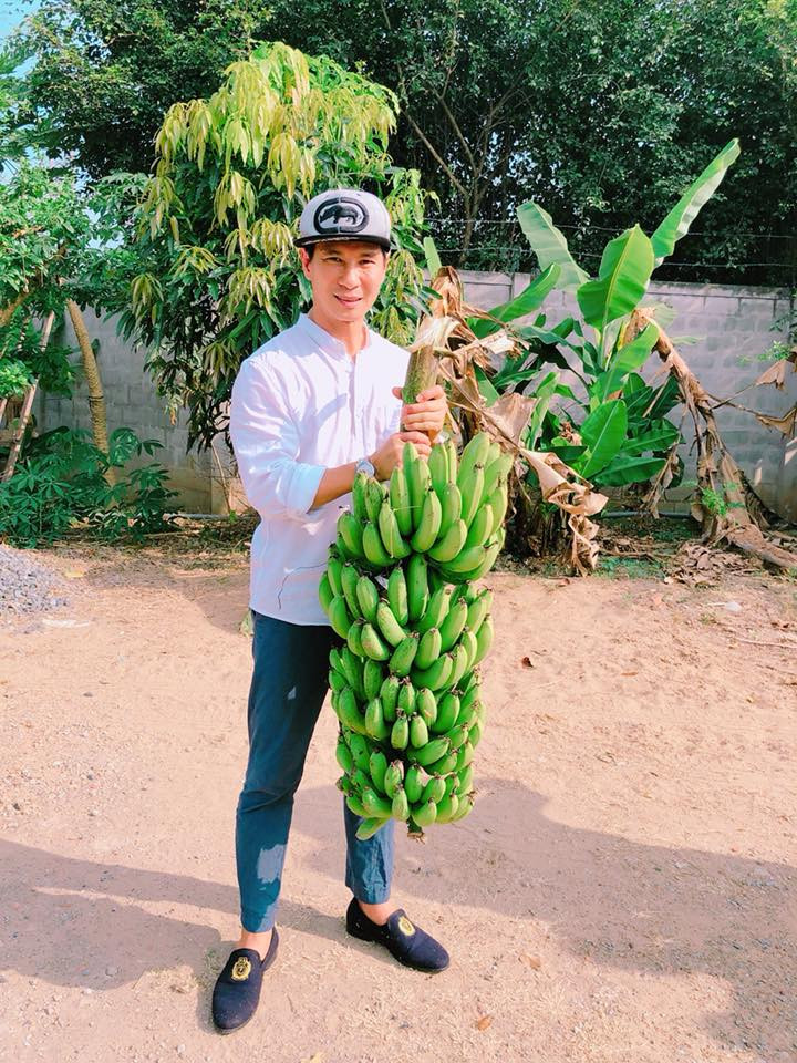 Nam ca sĩ Lý Hải khoe buồng chuối vừa thu hoạch.
