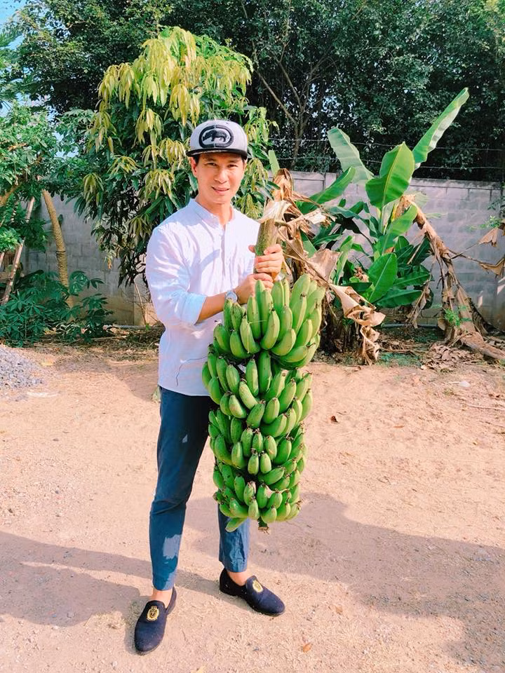 Nam ca sĩ Lý Hải khoe buồng chuối vừa thu hoạch.
