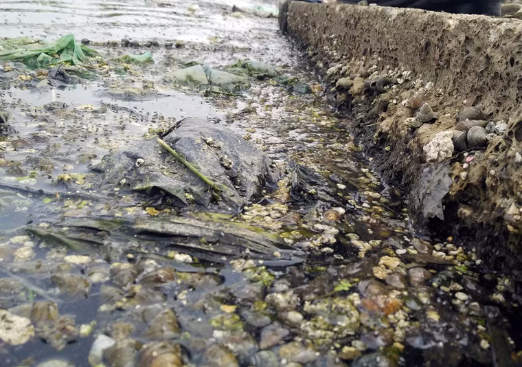 Một số người dân còn cho hay, những ngày nắng nóng này, rác thải ngập ở dưới lòng hồ Đền Lừ bốc mùi lên hôi thối nồng nặc vô cùng khó chịu, nhất là buổi trưa vừa chiều. Hơn nữa, lòng hồ bị ô nhiễm còn là nơi trú ngụ lý tưởng cho bọ gậy sinh sôi, ruồi muỗi phát triển.