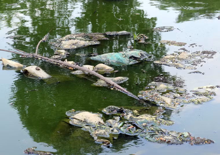 Màu nước xanh tự nhiên vốn có của hồ Đền Lừ đang dần biến đổi màu sắc bởi sự ô nhiễm nghiêm trọng.