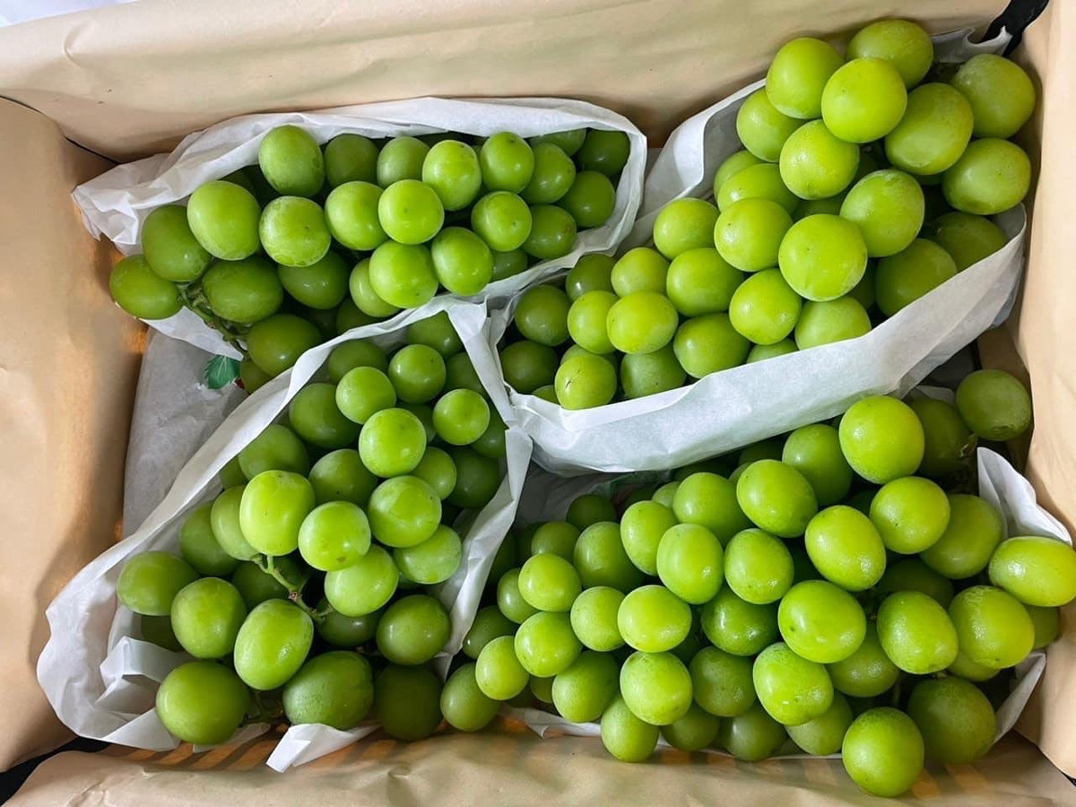 Trái cây "ngoại" la liệt, nhiều loại siêu rẻ chỉ 12.000-20.000 đồng/kg - Hình 2 Trai cay