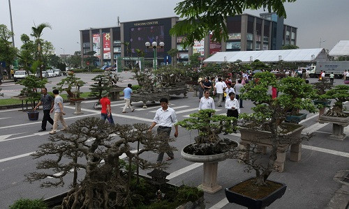 Le hoi sinh vat canh lon nhat Viet Nam tai Vinhomes Riverside-Hinh-3