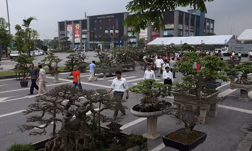 Le hoi sinh vat canh lon nhat Viet Nam tai Vinhomes Riverside-Hinh-3