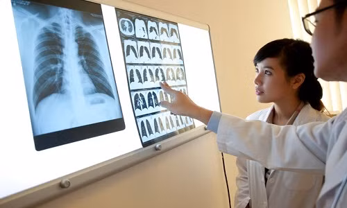 Các lĩnh vực tim mạch, ung bướu, chẩn đoán hình ảnh, giải phẫu bệnh, y học tái tạo - chống lão hoá, thẩm mỹ và công nghệ y sinh học hiện đại được ưu tiên đào tạo.