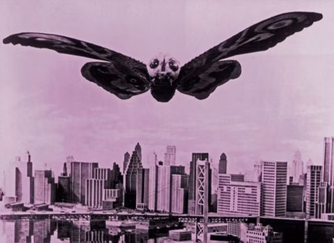 Mothra. Đây là loài côn trùng lớn nhất trên thế giới. Sải cảnh của nó dài tới 249 m. Loài này có thể sẽ nặng tới 25.000 tấn và bay với tốc độ mach 3. Mothra mẹ sẽ chết ngay sau khi con của chúng nở ra từ trứng. Tuy nhiên, đến giờ Mothra chỉ mới được miêu tả trong các tài liệu, chủ yếu là ở Nhật.