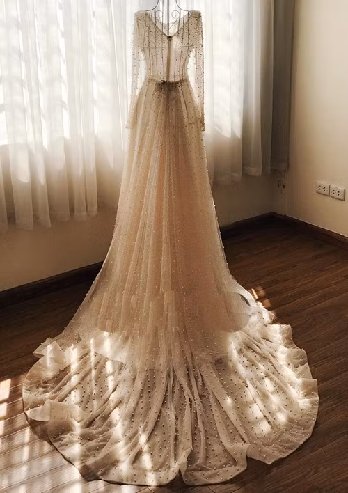 Dù không phải là thông tin chính thức do chính chủ nhân tiết lộ nhưng bộ váy cưới đính pha lê mà BTV Mai Ngọc mặc được cho là có giá trị lên đến 100 triệu đồng. Nó là "tác phẩm" của một nhà thiết kế nữ rất nổi tiếng, trông khá kín đáo với kiểu dáng dài tay nhưng vẫn rất quyến rũ bởi chất liệu trong suốt.