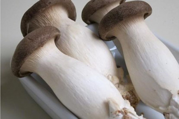 Chưa kể, nấm có thân xốp, dễ hút nước. Rửa kỹ dưới nước rất dễ bị dập nát nên thường được rửa qua loa, để sót nhiều cặn bẩn.