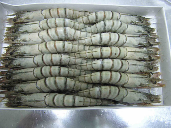 Tôm ở các quán lẩu ven đường thường sử dụng là tôm đông lạnh. Nhìn bề ngoài chúng có vẻ tươi ngon nhưng bạn khó có thể biết được liệu chúng có tẩm ướp thêm các loại thuốc để tránh bị nhũn hỏng trong quá trình bảo quản hay không.